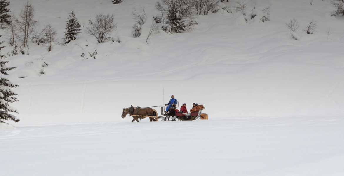 Horse-Drawn Carriage Rides in Courchevel & Méribel
