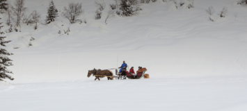 Horse-Drawn Carriage Rides in Courchevel & Méribel