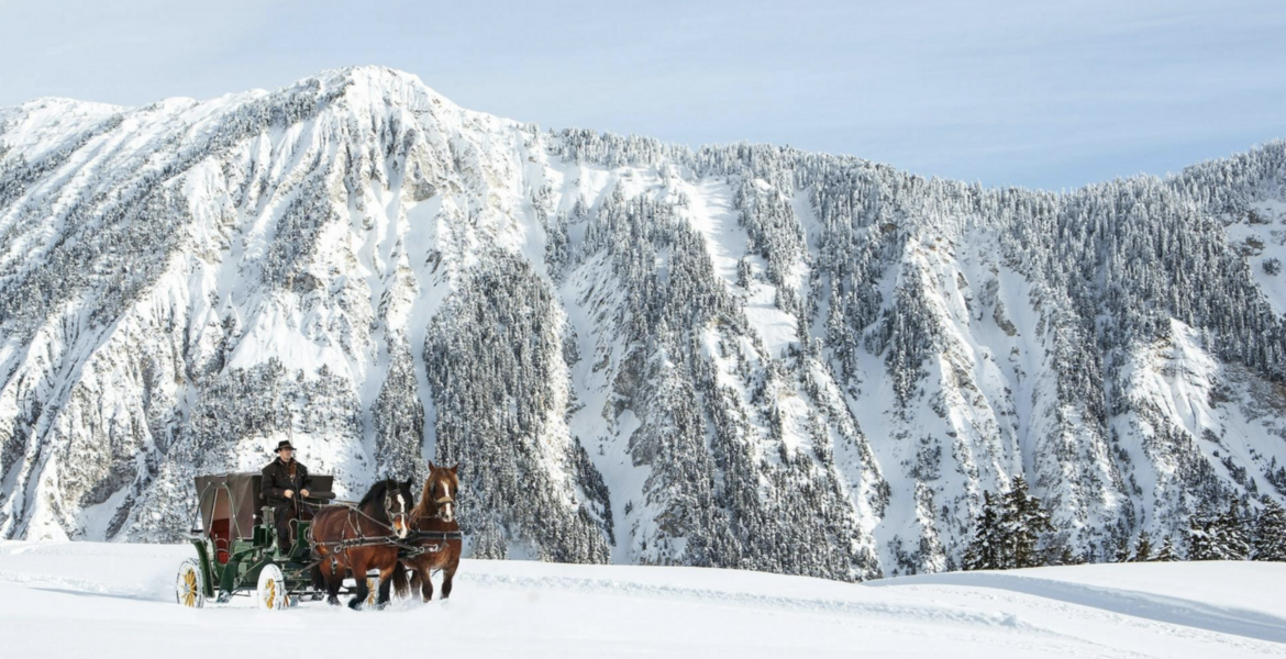 Horse-Drawn Carriage Rides in Courchevel & Méribel