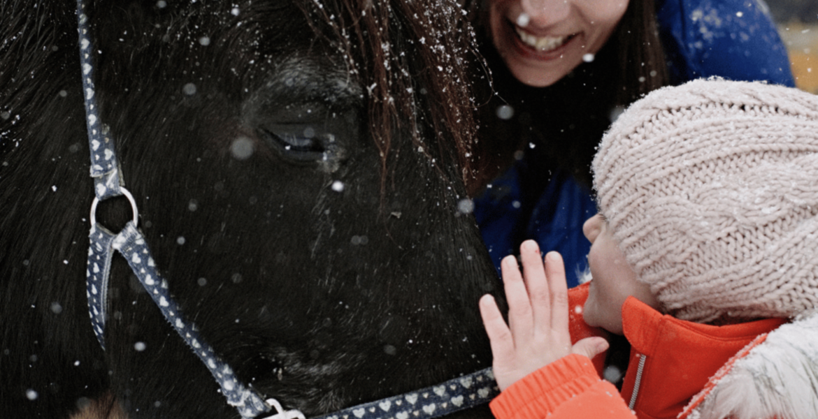 Horse-Drawn Carriage Rides in Courchevel & Méribel