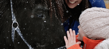 Horse-Drawn Carriage Rides in Courchevel & Méribel