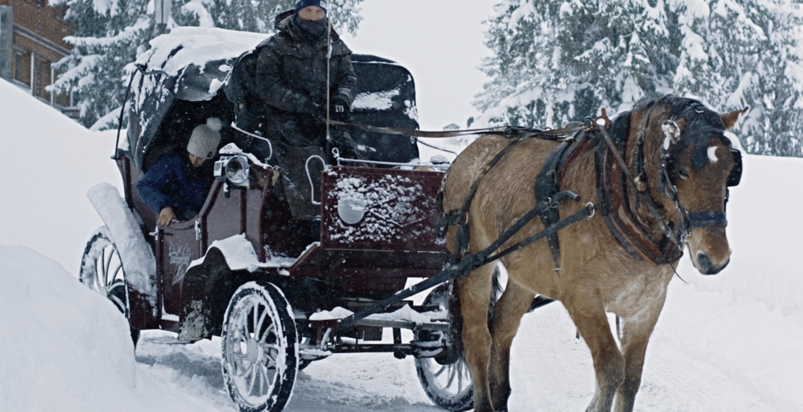 Horse-Drawn Carriage Rides in Courchevel & Méribel