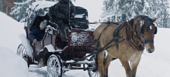 Horse-Drawn Carriage Rides in Courchevel & Méribel