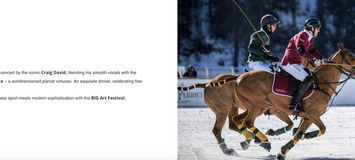 26;27/01/2025✨ Элегантность на льду: поло, ужин и музыка ✨