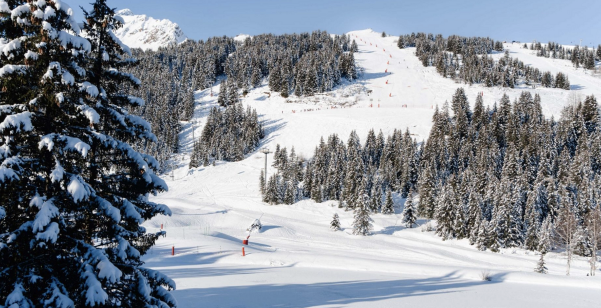 Lake Hotel Mercure Courchevel 1850