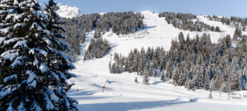 Lake Hotel Mercure Courchevel 1850